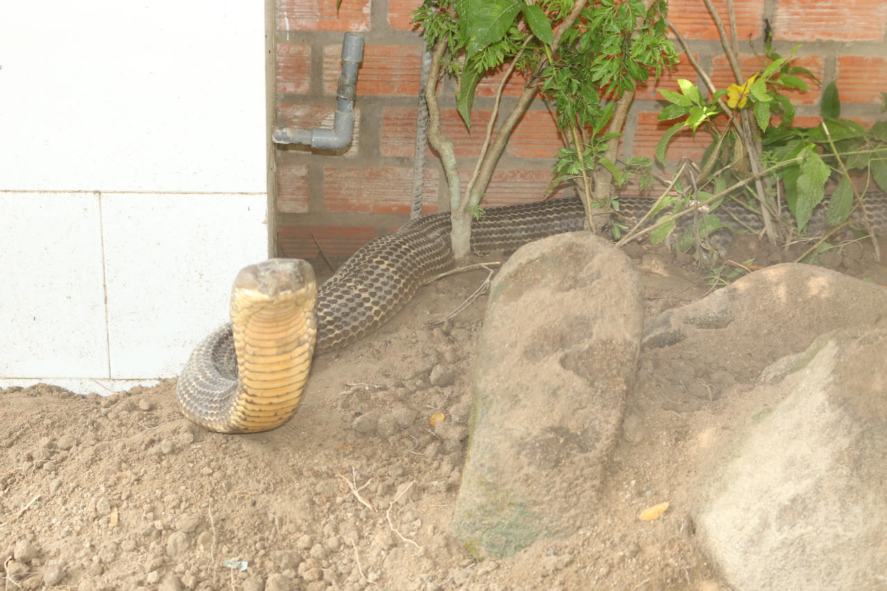 Kinh đô điện mặt trời dưới chân Núi Cấm