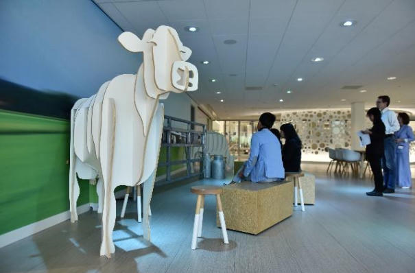 'Lạc lối' vào trung tâm R&D như vũ trụ thu nhỏ của Cô Gái Hà Lan