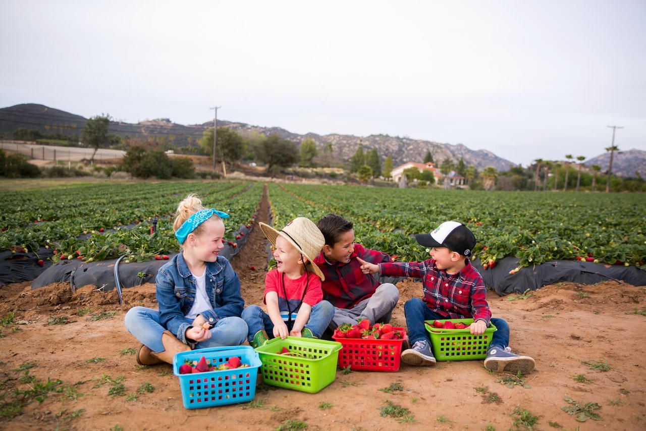 Du lịch gia đình không còn quá khó