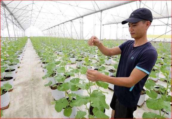 Ngỡ ngàng cảnh sống người nghèo Bắc Giang sau khi tín dụng chính sách 'tiếp sức'