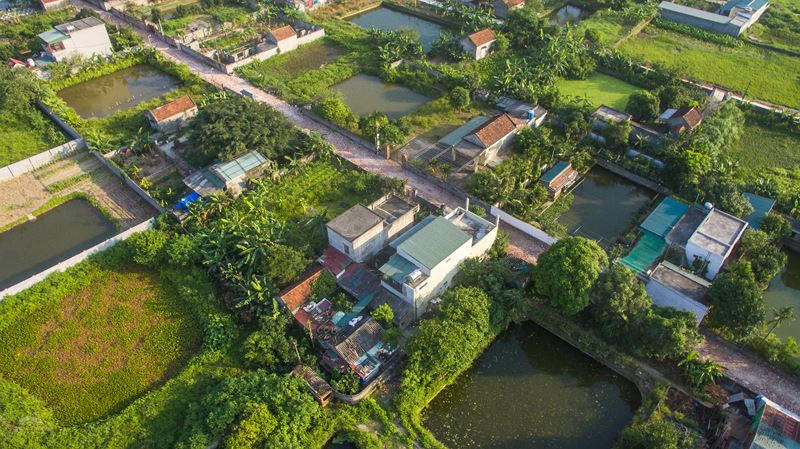 TP Thái Bình: 'Khu đô thị' chui trên 11ha đất dự án nông nghiệp