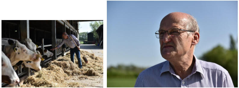 Diện tích mỗi nông trại của nông dân Cô gái Hà Lan bằng 140 sân vận động: Họ đã làm điều đó như thế nào?