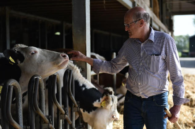 Diện tích mỗi nông trại của nông dân Cô gái Hà Lan bằng 140 sân vận động: Họ đã làm điều đó như thế nào?