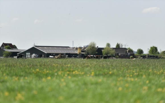 Diện tích mỗi nông trại của nông dân Cô gái Hà Lan bằng 140 sân vận động: Họ đã làm điều đó như thế nào?