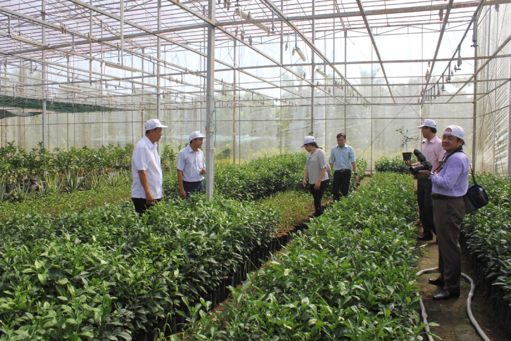 Bến Tre: Làm gì để Làng Văn hóa du lịch nông thôn “chuyển mình”