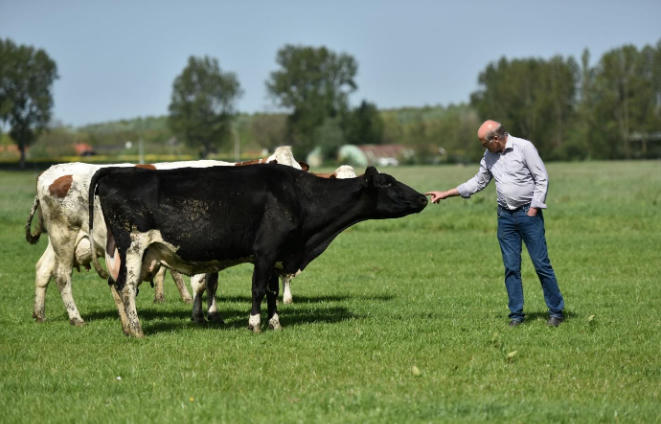 Chọn sữa hữu cơ: Không chỉ theo “trend” mà còn phải theo chuẩn