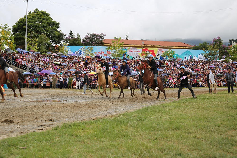 "Vó ngựa trên mây" - giải đua ngựa lần đầu tiên được tổ chức tại Fansipan
