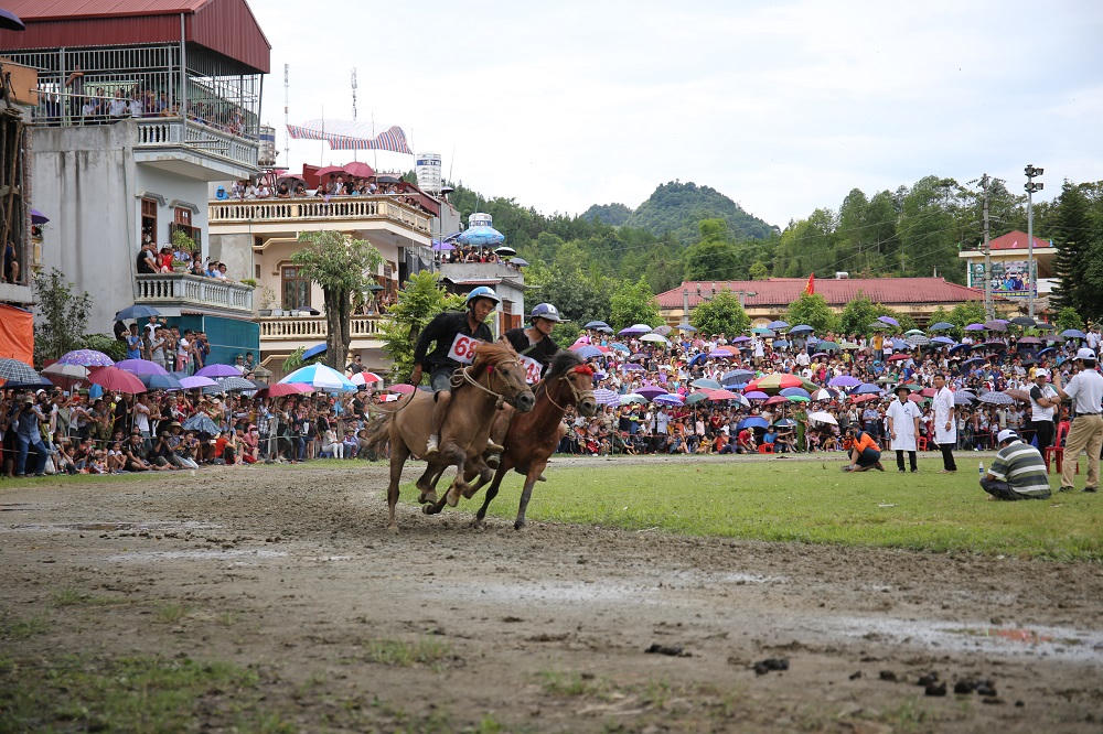 "Vó ngựa trên mây" - giải đua ngựa lần đầu tiên được tổ chức tại Fansipan