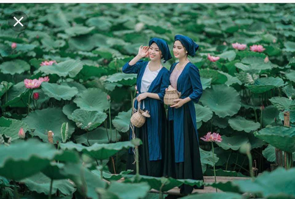 Trào lưu “cởi yếm” với sen: “Riêng tư”… nơi công cộng!