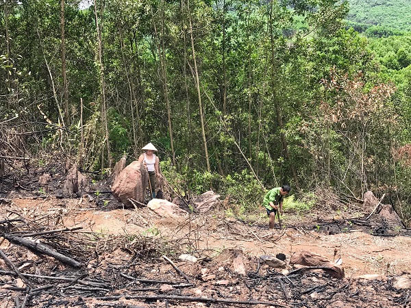 Quảng Ninh: Niềm vui lan tỏa từ những con đường mới ở Hoành Bồ