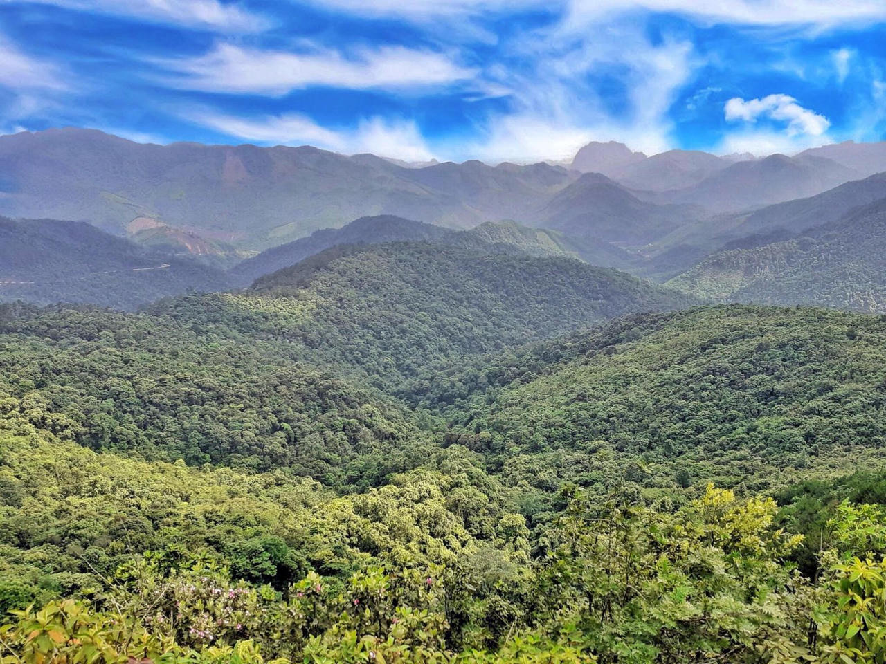 Quảng Ninh: Niềm vui lan tỏa từ những con đường mới ở Hoành Bồ