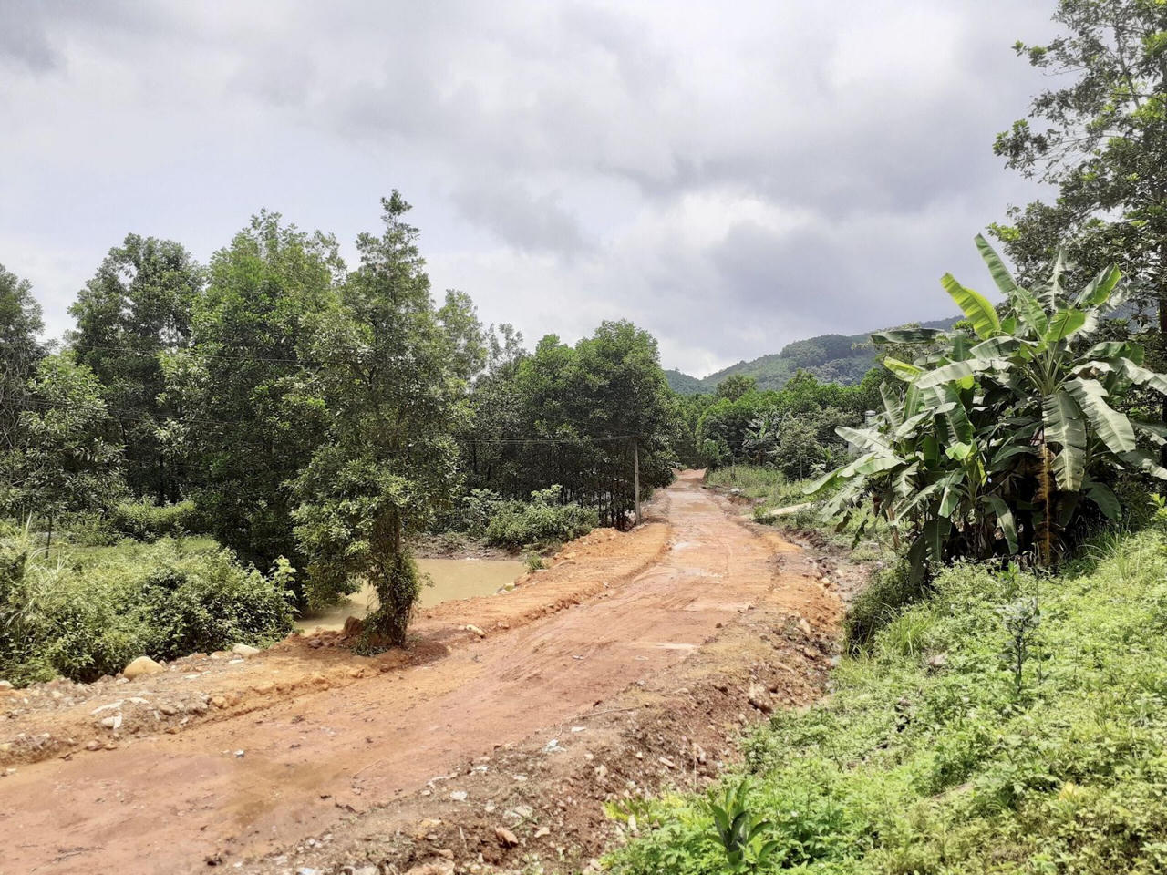 Quảng Ninh: Niềm vui lan tỏa từ những con đường mới ở Hoành Bồ