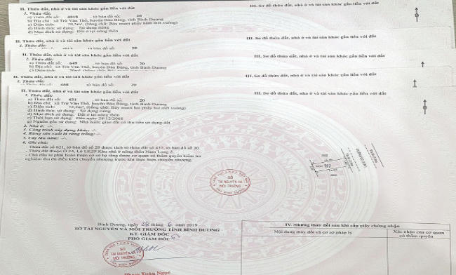 Những khác biệt ở thị trường Bình Dương