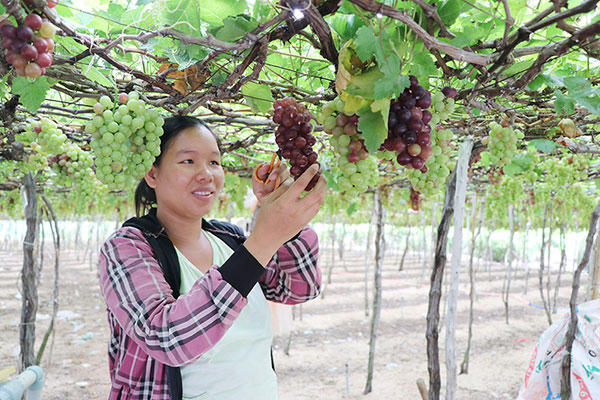 Đồng vốn nhân văn nơi miền cát trắng