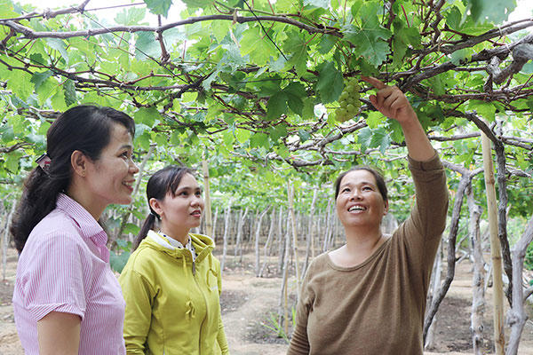 Đồng vốn nhân văn nơi miền cát trắng