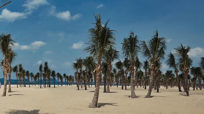 Du khách “kỷ niệm” biển Bãi Cháy 6 tấn rác một ngày