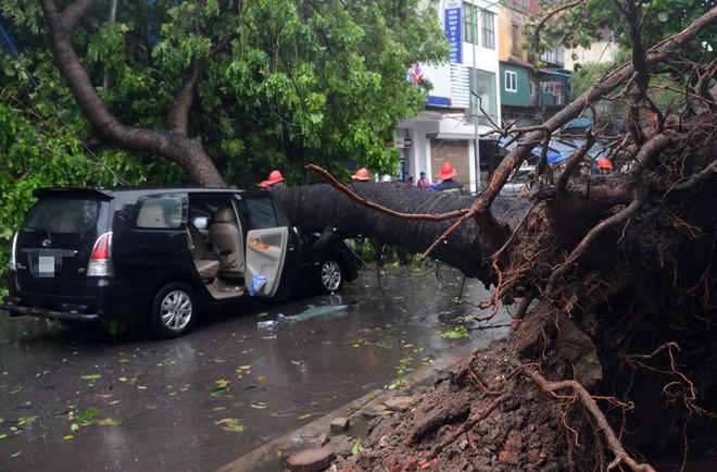 Cây gãy, đổ trong mưa bão: Bao giờ “ông trời” mới hết bị quy trách nhiệm?
