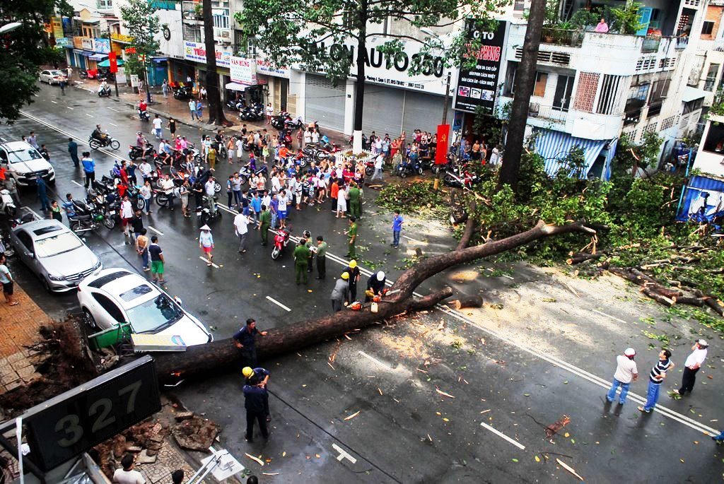 Cây gãy, đổ trong mưa bão: Bao giờ “ông trời” mới hết bị quy trách nhiệm?