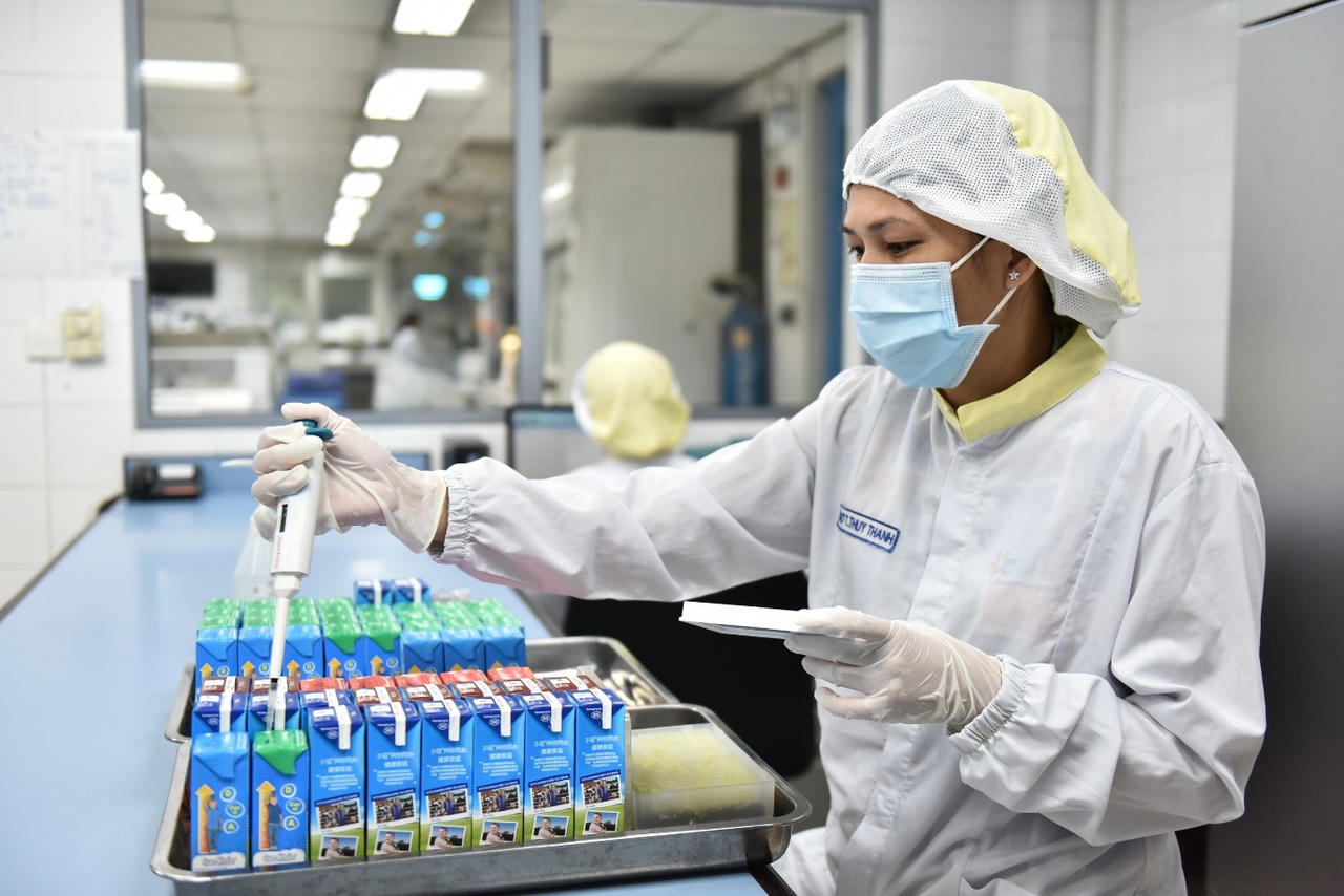 Di sản 145 năm kiến tạo sữa tươi Tiêu Chuẩn Hà Lan