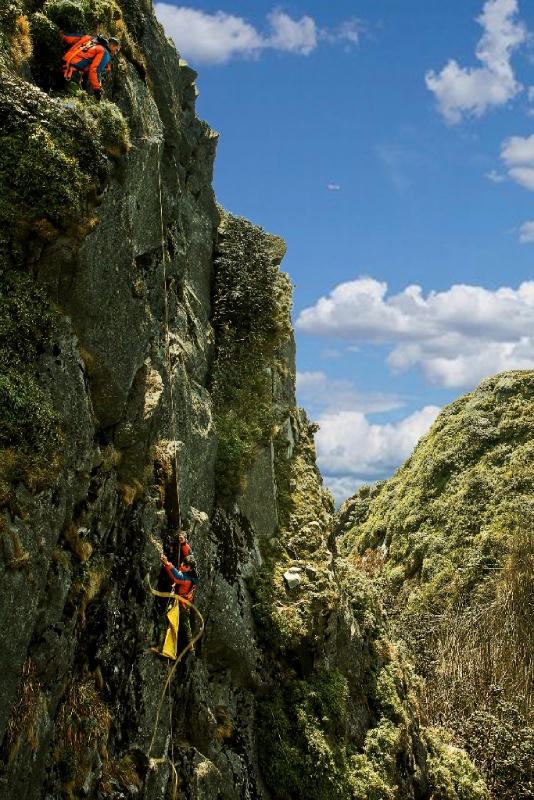 Những tarzan treo mình... nhặt rác trên đỉnh Fansipan