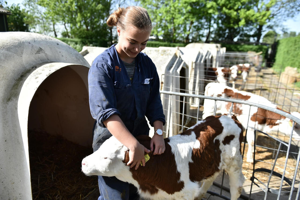 Đã có một loại sữa tươi chuẩn Hà Lan với sứ mệnh “cân bằng dinh dưỡng” cho trẻ em Việt