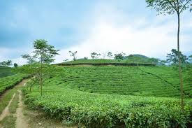 Thơ Hà Văn Thể, cái đẹp từ nỗi buồn