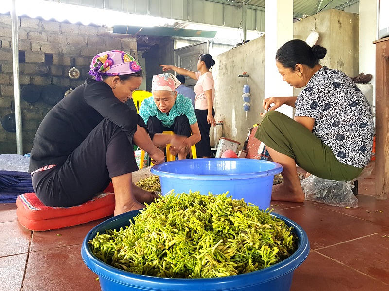 Lạ lùng, độc đáo nghi lễ giải hạn của người Mường Mai Châu