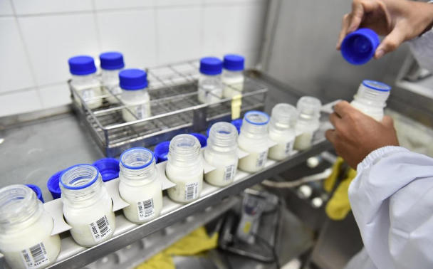 Khám phá 5 đặc quyền chỉ dành cho tín đồ của sữa Organic chuẩn Hà Lan