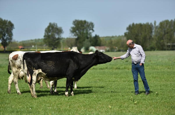 Khám phá 5 đặc quyền chỉ dành cho tín đồ của sữa Organic chuẩn Hà Lan