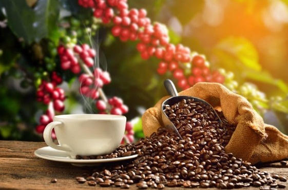 Những mẹo nhỏ để có ly cà phê sữa hoàn hảo