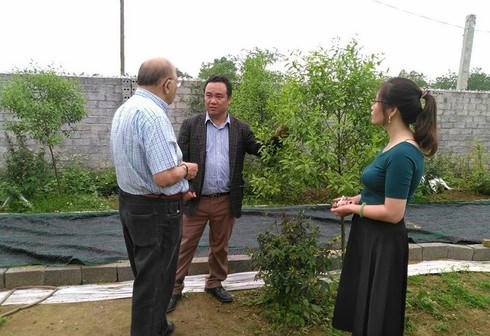 Nỗi lòng của “ông mai” mang “vàng xanh” đàn hương về Việt Nam - Ảnh 1