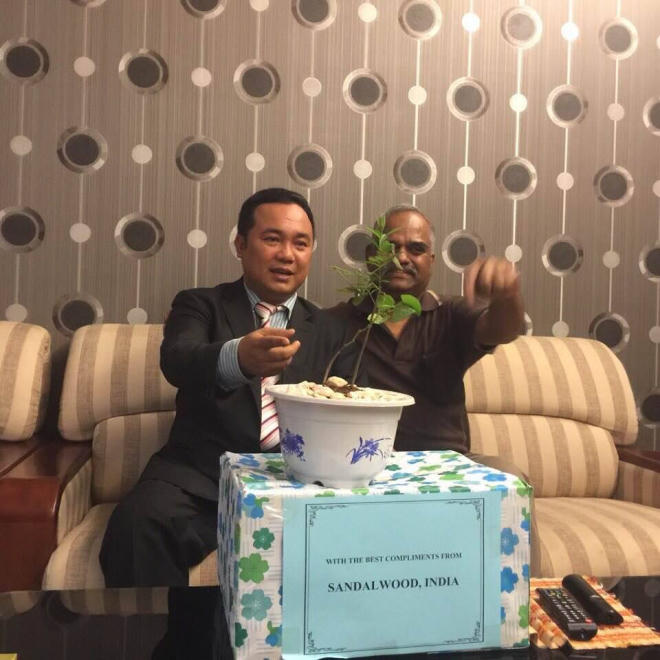 Nỗi lòng của “ông mai” mang “vàng xanh” đàn hương về Việt Nam - Ảnh 4