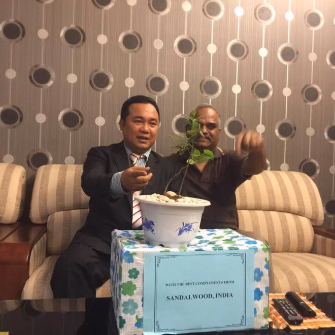 Nỗi lòng của “ông mai” mang “vàng xanh” đàn hương về Việt Nam - Ảnh 4