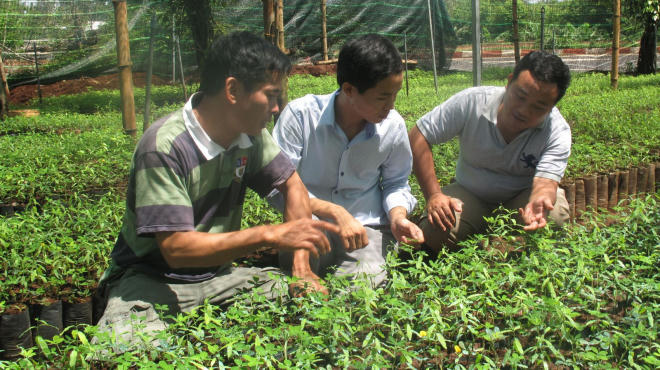 Nỗi lòng của “ông mai” mang “vàng xanh” đàn hương về Việt Nam - Ảnh 6