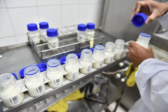 Bên trong nhà máy của hãng sữa được trao tặng Huy hiệu Hoàng gia Hà Lan