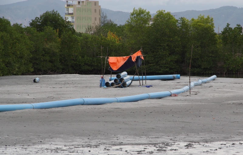 Tiếng kêu từ đầm Thị Nại