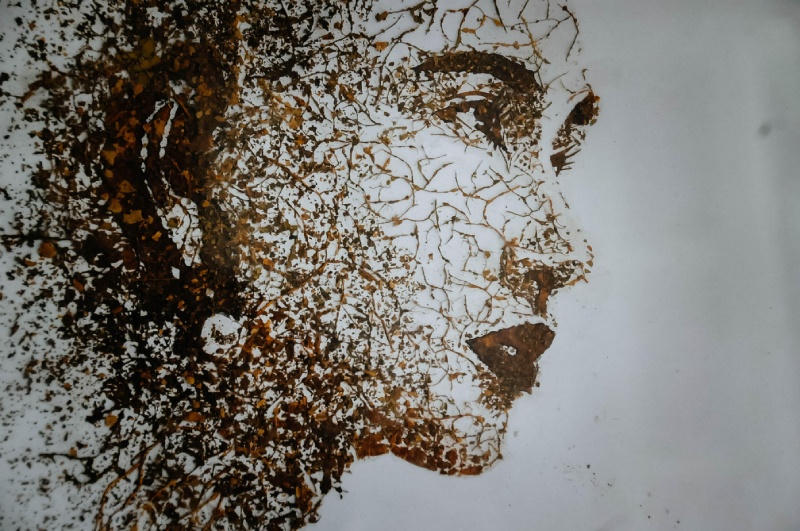 Độc lạ tranh từ lá sen của họa sĩ già