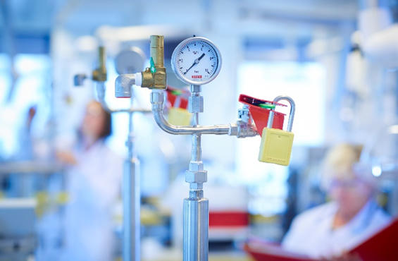 Cô Gái Hà Lan: 7 nguyên tắc vàng để mang đến từng hộp sữa tươi an toàn và chất lượng