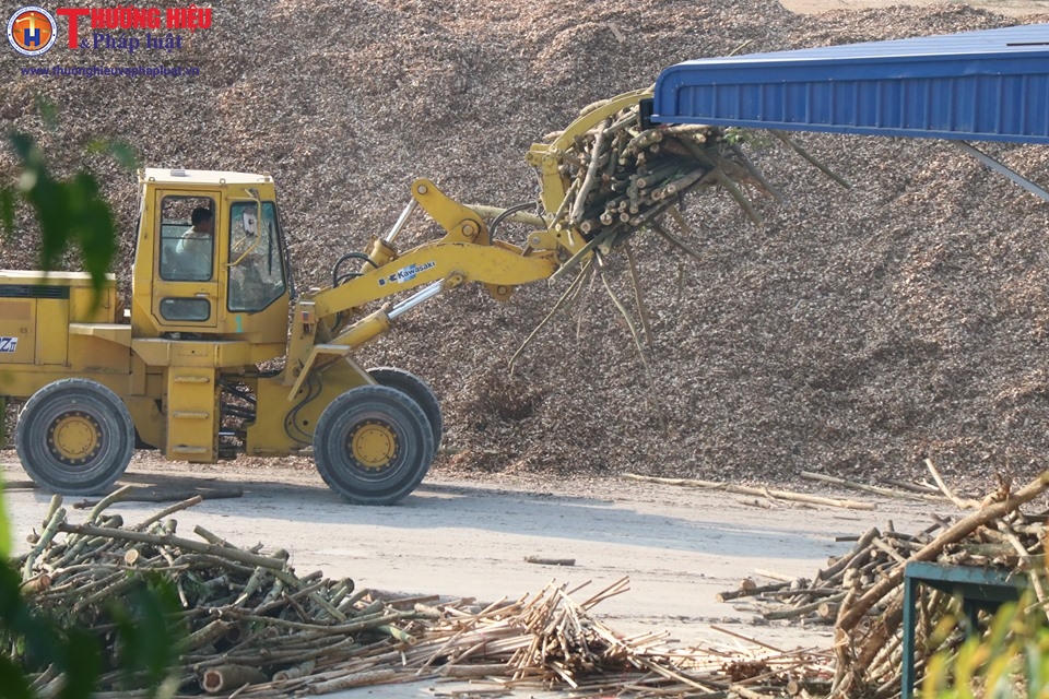 Máy móc đã lắp đặt, vận hành... gây ra tiếng ồn