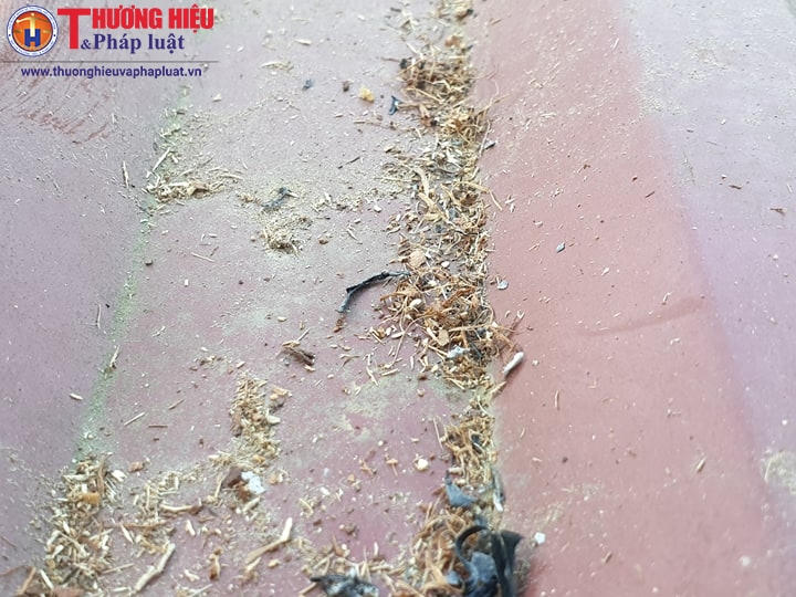 Người dân bức xúc vì bụi bám vào nhà, vườn...