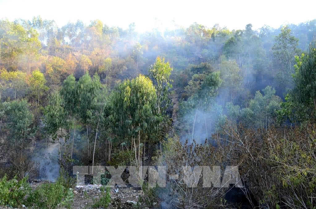 Hơn 1 ngày đêm khống chế vụ cháy rừng tại núi Hầm Vàng – Đà Nẵng