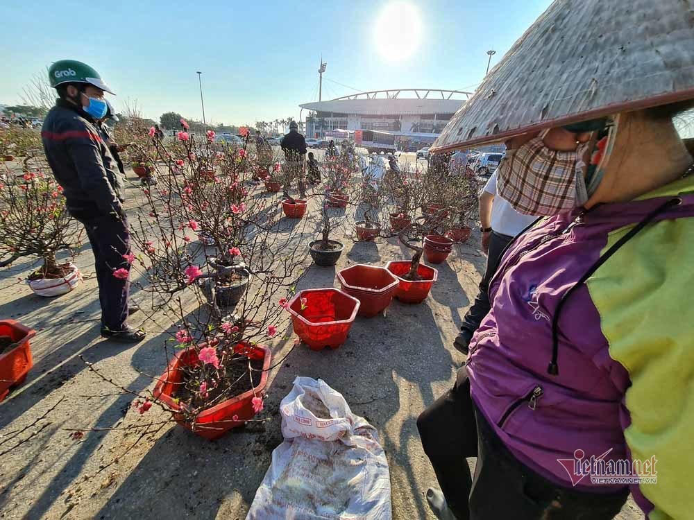 Chờ 30 Tết mua cây cảnh, dân Hà thành xuống tiền không mặc cả