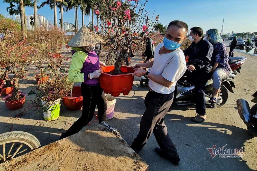 Chờ 30 Tết mua cây cảnh, dân Hà thành xuống tiền không mặc cả