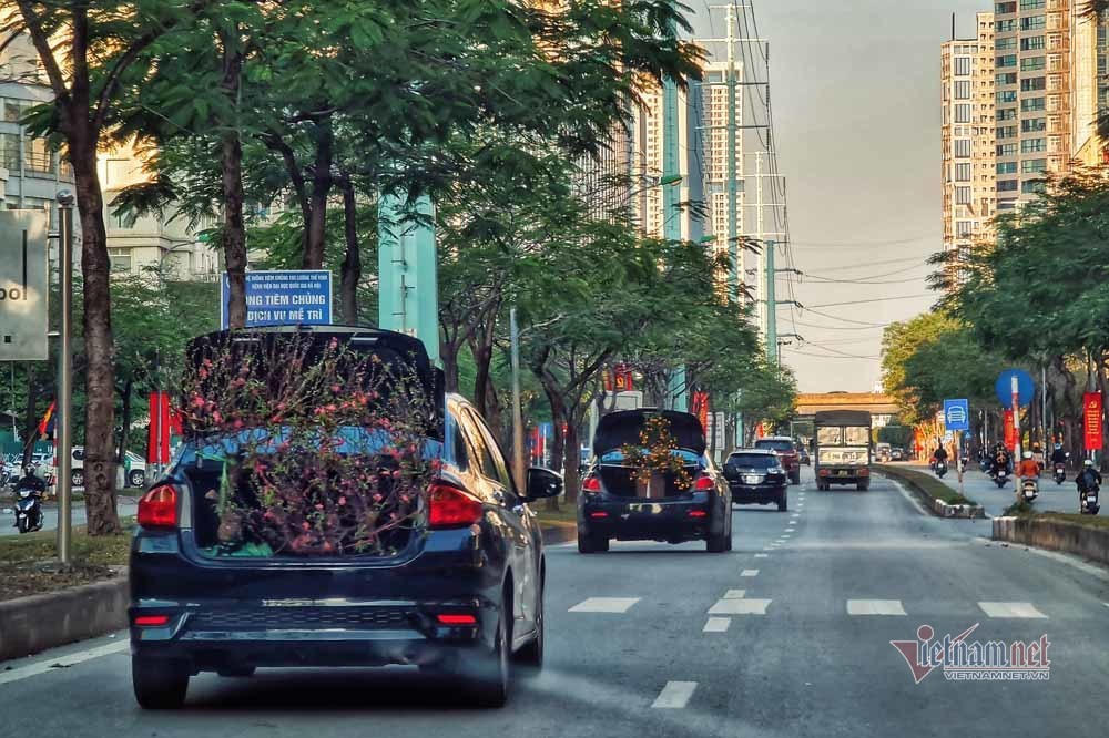 Chờ 30 Tết mua cây cảnh, dân Hà thành xuống tiền không mặc cả