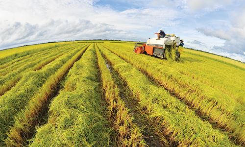 "Nhất nông, nhì sĩ" xưa, nay