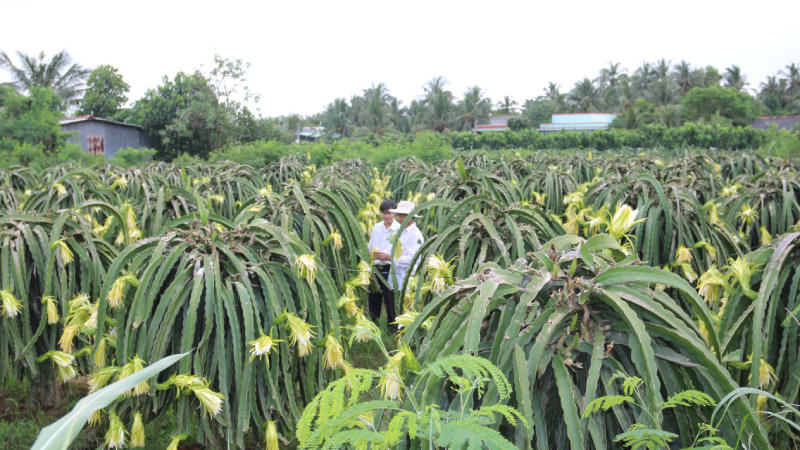 Agribank: Ðiểm nhấn ấn tượng của nông nghiệp Việt Nam