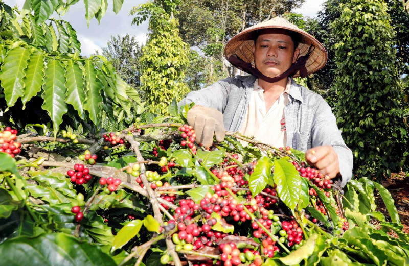 Bước tiến tín dụng chính sách ở Đắk Lắk