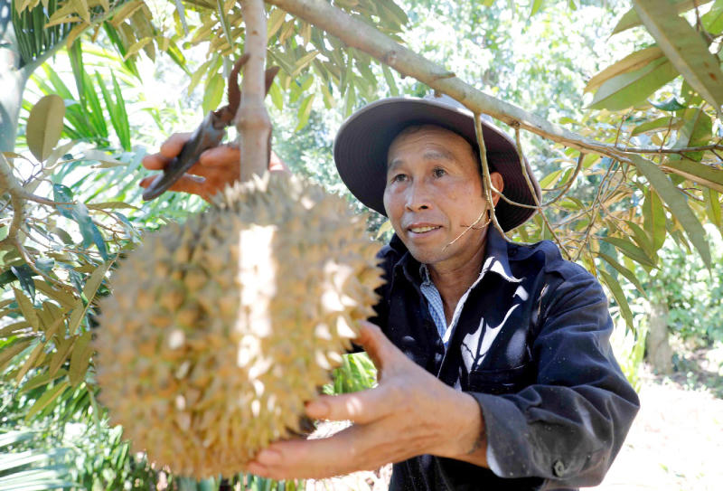 Bước tiến tín dụng chính sách ở Đắk Lắk