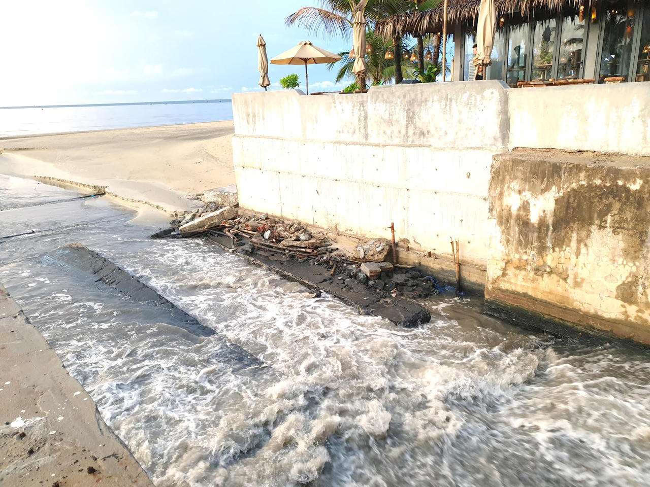 Sinh vật biển hiếm dần biến mất khi biển xanh bị nhuộm màu