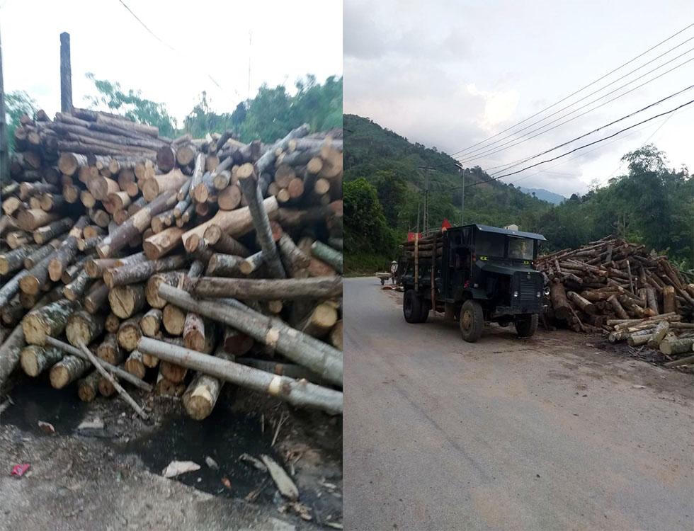 Nhức nhối nạn phá rừng ở Hà Giang